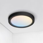 Black Flush Mount Ceiling Light