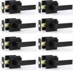 Matte Black Square Privacy Door Levers - Hình 27