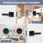 Matte Black Square Privacy Door Levers - Hình 3